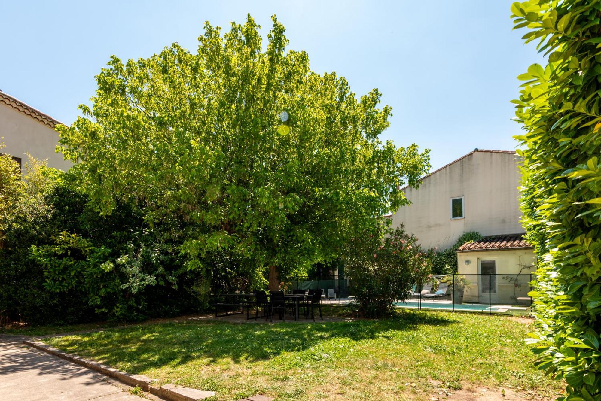 La Casa Grande - Piscine - Wifi - Parking Βίλα Καρκασόν Εξωτερικό φωτογραφία